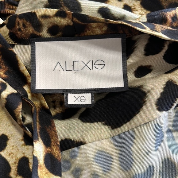 Alexis Leopard Print Dress XS - Picture 14 of 15